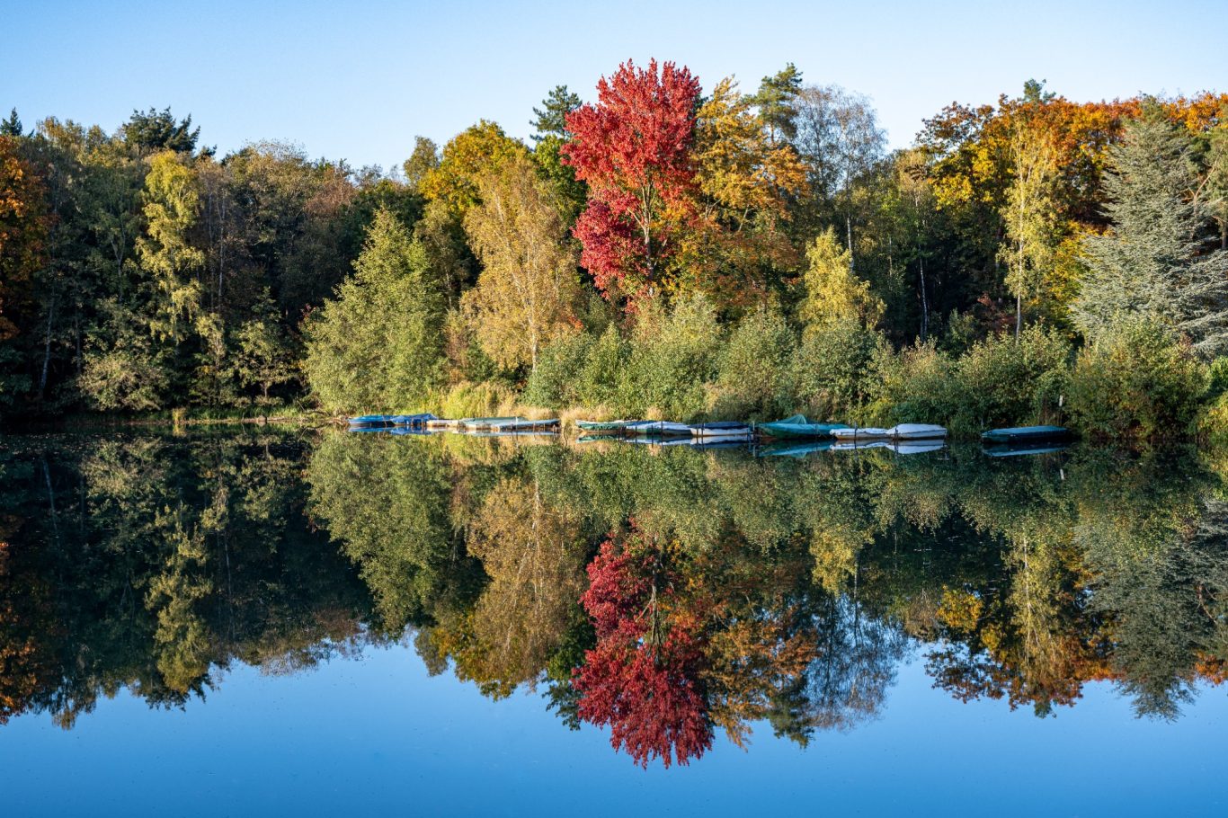 Bunter Herbst am Venekotensee