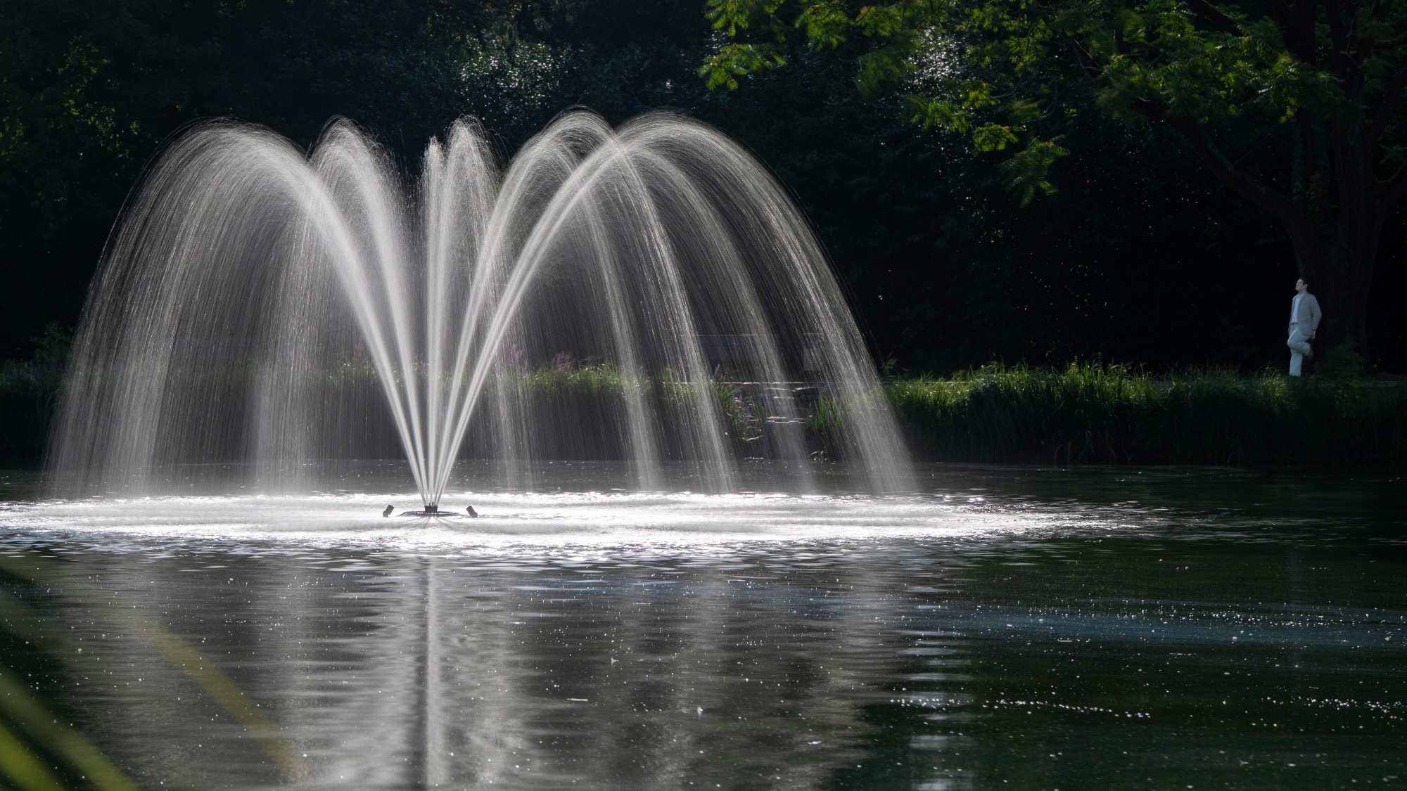 Im Stadtpark von Wegberg
